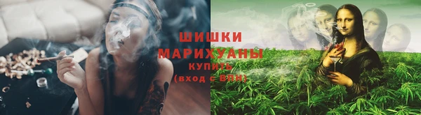 ECSTASY Краснослободск