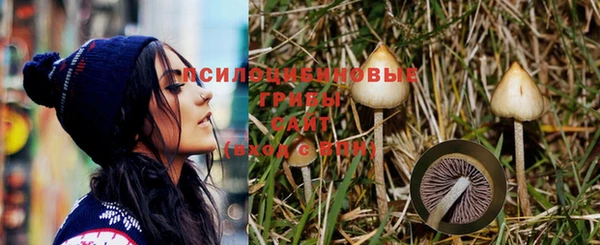 дживик Красноперекопск