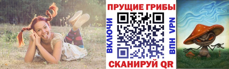 Галлюциногенные грибы Psilocybe  Называевск 